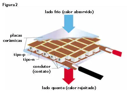 fig2