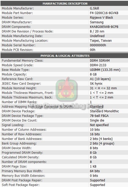 gskill ripjaws v 3200c16 spd 1