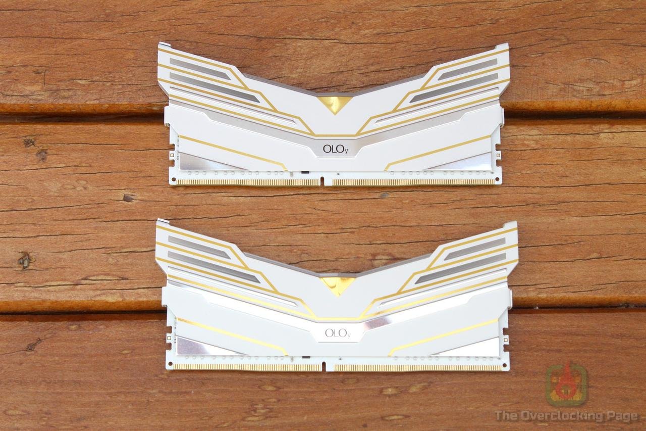 oloy warhawk 3600c18 4